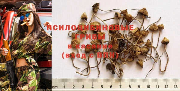 a pvp Баксан