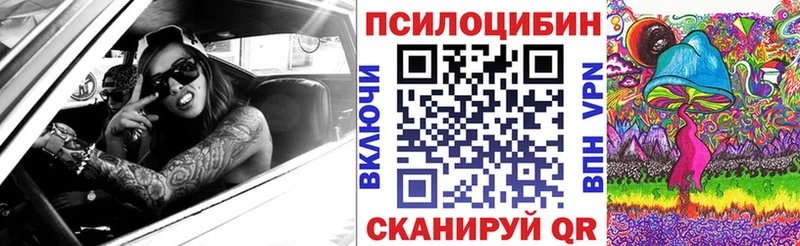 где найти наркотики  Хасавюрт  Псилоцибиновые грибы Psilocybe 